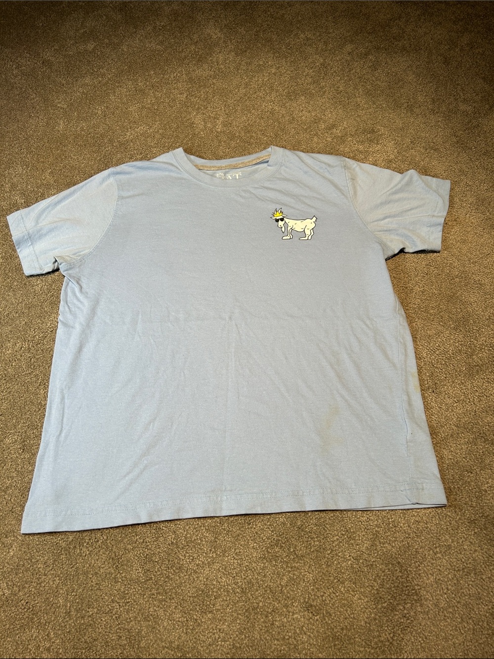 Light Blue Kids Short Sleeve Tee with Goat Graphic